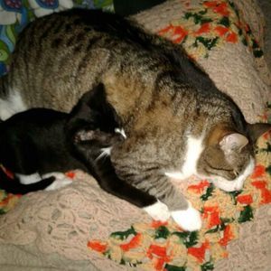 Meet your Posher, Anne